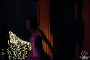Image from amusementplanet.com