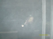 Image from Ralph Foster