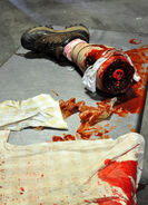 Dsc 0311 10123545654 o.jpg (1.15 MB) Image from HHNYearbook