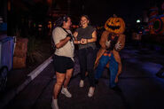 Image from Universal Orlando Resort