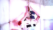[Picture From The Dis]