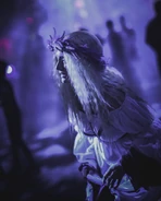 Image from ouellette_photography on Instagram