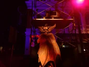 Image from HHNManics