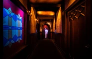FB8X2bRXEAIzOFG.jpg (335 KB) Image from Universal Studios Hollywood