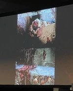 Image from hhnspeculationmatt on Instagram