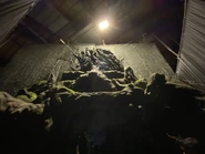 Image from HorrorUnearthed
