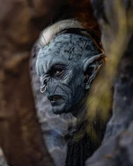 Image from tylerhaunt on Instagram