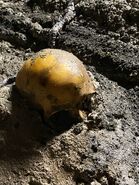 Image from HorrorUnearthed