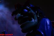 Image from HHNLegacy