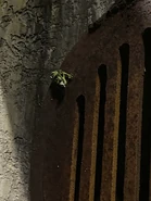 Image from HorrorUnearthed