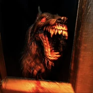 Image from Universal Studios Hollywood