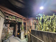20210930 114801.jpg (3.25 MB) Image from HHNManics
