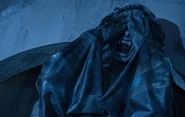 Image from Universal Orlando Resort