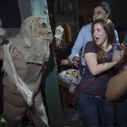 Image from Universal Orlando Resort