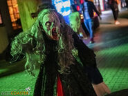 Image from Westcoaster.com