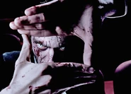 MUSIC0003.jpeg (151 KB) Image from Dean Karr