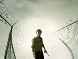 The Walking Dead (TV Show)