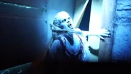 Image from Attractions Magazine