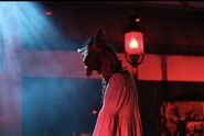 Image from the_bride_of_hhn on Instagram
