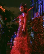 Image from leoobanksphotography on Instagram