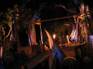 Image from HHN Yearbook