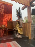 Image from Will Lyon