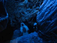 Screenshot 2020-10-17 Behind-the-Scares Yeti Terror of the Yukon from Halloween Horror Nights 2019(2).png (1.33 MB) Yeti featured in the Yeti Terror of the Yukon haunted house during Halloween Horror Nights 29 Image from Universal Orlando Resort