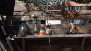 Image from TheTimTracker