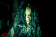Image from Dejiki.com