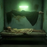 8E1AECB6-7A5A-493F-B7CC-D16C24796068.jpeg (169 KB) Image from Joshua Hoffine