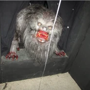 Image from briansikoff on Instagram