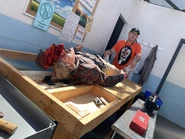 Image from @ThemeParkDuo on Twitter