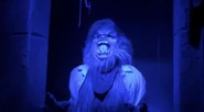 Image from ThemeParkReview