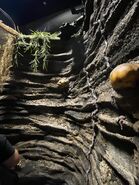 Image from HorrorUnearthed