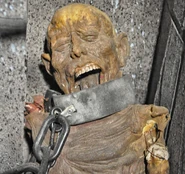 Image from Mark Walter on Flickr