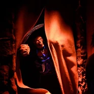 Image from photos.goals on Instagram