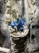 Image from HorrorUnearthed