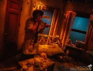 Image from Westcoaster.com