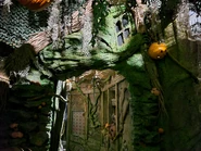 20210930 120636.jpg (3.6 MB) Image from HHNManics