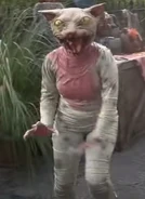 Cat Child Attractions Magazine.jpeg (88 KB) Image from Attractions Magazine on Youtube.