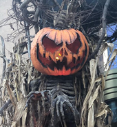 HHN 28 PUMPKIN