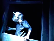 Image from Mouseinfo on Twitter