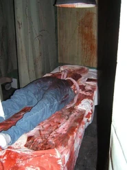 Image from chainsawwolf's Photobucket.