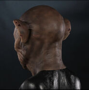 Image from Immortal Masks