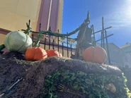 Image from InsideUniversal on Twitter