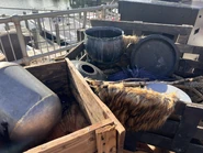 Image from @HHNstagram on Twitter