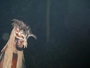 Image from the now defunct IOACentral.com