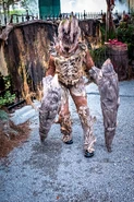 Image from Katy Recco Photography