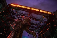 Image from tylerhaunt on Instagram