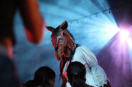 Image from the_bride_of_hhn on Instagram